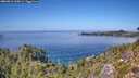 ./images/calvert/foggy-cove/20260913/foggy-cove20260913_135001M.jpg