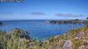 ./images/calvert/foggy-cove/20260913/foggy-cove20260913_141001M.jpg