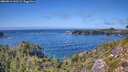 ./images/calvert/foggy-cove/20260913/foggy-cove20260913_141501M.jpg