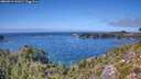 ./images/calvert/foggy-cove/20260913/foggy-cove20260913_142001M.jpg