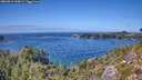 ./images/calvert/foggy-cove/20260913/foggy-cove20260913_143001M.jpg