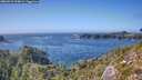 ./images/calvert/foggy-cove/20260913/foggy-cove20260913_154001M.jpg
