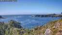./images/calvert/foggy-cove/20260913/foggy-cove20260913_155001M.jpg