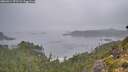 ./images/calvert/foggy-cove/20260914/foggy-cove20260914_075501M.jpg