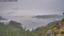 ./images/calvert/foggy-cove/20260914/foggy-cove20260914_081501M.jpg