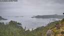 ./images/calvert/foggy-cove/20260914/foggy-cove20260914_083001M.jpg