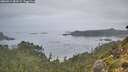./images/calvert/foggy-cove/20260914/foggy-cove20260914_083501M.jpg