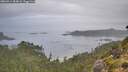 ./images/calvert/foggy-cove/20260914/foggy-cove20260914_084001M.jpg