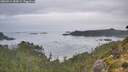 ./images/calvert/foggy-cove/20260914/foggy-cove20260914_085001M.jpg