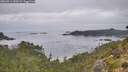 ./images/calvert/foggy-cove/20260914/foggy-cove20260914_090501M.jpg