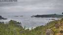 ./images/calvert/foggy-cove/20260914/foggy-cove20260914_092001M.jpg