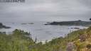 ./images/calvert/foggy-cove/20260914/foggy-cove20260914_093001M.jpg