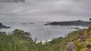 ./images/calvert/foggy-cove/20260914/foggy-cove20260914_094001M.jpg