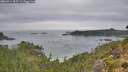./images/calvert/foggy-cove/20260914/foggy-cove20260914_095501M.jpg