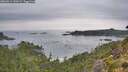 ./images/calvert/foggy-cove/20260914/foggy-cove20260914_100501M.jpg
