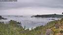 ./images/calvert/foggy-cove/20260914/foggy-cove20260914_102001M.jpg
