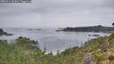 ./images/calvert/foggy-cove/20260914/foggy-cove20260914_103001M.jpg