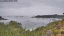./images/calvert/foggy-cove/20260914/foggy-cove20260914_103501M.jpg