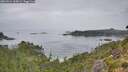 ./images/calvert/foggy-cove/20260914/foggy-cove20260914_105001M.jpg