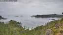 ./images/calvert/foggy-cove/20260914/foggy-cove20260914_110501M.jpg