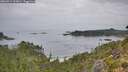 ./images/calvert/foggy-cove/20260914/foggy-cove20260914_111001M.jpg