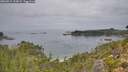 ./images/calvert/foggy-cove/20260914/foggy-cove20260914_113002M.jpg