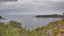 ./images/calvert/foggy-cove/20260914/foggy-cove20260914_135002M.jpg