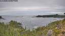 ./images/calvert/foggy-cove/20260914/foggy-cove20260914_152001M.jpg