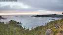 ./images/calvert/foggy-cove/20260915/foggy-cove20260915_075501M.jpg