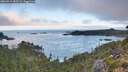 ./images/calvert/foggy-cove/20260915/foggy-cove20260915_082501M.jpg