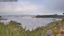 ./images/calvert/foggy-cove/20260915/foggy-cove20260915_092002M.jpg