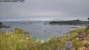 ./images/calvert/foggy-cove/20260915/foggy-cove20260915_093501M.jpg