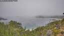 ./images/calvert/foggy-cove/20260915/foggy-cove20260915_101501M.jpg