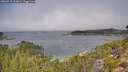 ./images/calvert/foggy-cove/20260915/foggy-cove20260915_112001M.jpg