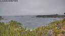 ./images/calvert/foggy-cove/20260915/foggy-cove20260915_112501M.jpg