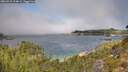 ./images/calvert/foggy-cove/20260915/foggy-cove20260915_114001M.jpg