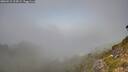 ./images/calvert/foggy-cove/20260915/foggy-cove20260915_114501M.jpg