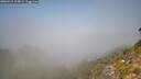 ./images/calvert/foggy-cove/20260915/foggy-cove20260915_115001M.jpg