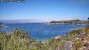 ./images/calvert/foggy-cove/20260915/foggy-cove20260915_120501M.jpg