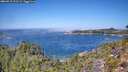 ./images/calvert/foggy-cove/20260915/foggy-cove20260915_121501M.jpg