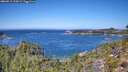 ./images/calvert/foggy-cove/20260915/foggy-cove20260915_122001M.jpg