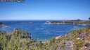 ./images/calvert/foggy-cove/20260915/foggy-cove20260915_123002M.jpg