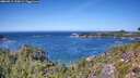 ./images/calvert/foggy-cove/20260915/foggy-cove20260915_130001M.jpg