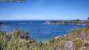 ./images/calvert/foggy-cove/20260915/foggy-cove20260915_130501M.jpg
