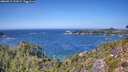 ./images/calvert/foggy-cove/20260915/foggy-cove20260915_132001M.jpg