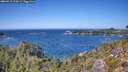 ./images/calvert/foggy-cove/20260915/foggy-cove20260915_133001M.jpg