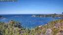 ./images/calvert/foggy-cove/20260915/foggy-cove20260915_133501M.jpg