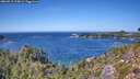 ./images/calvert/foggy-cove/20260915/foggy-cove20260915_134001M.jpg