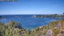 ./images/calvert/foggy-cove/20260915/foggy-cove20260915_134501M.jpg