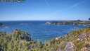 ./images/calvert/foggy-cove/20260915/foggy-cove20260915_135002M.jpg